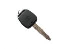 Lioncel Remote Key